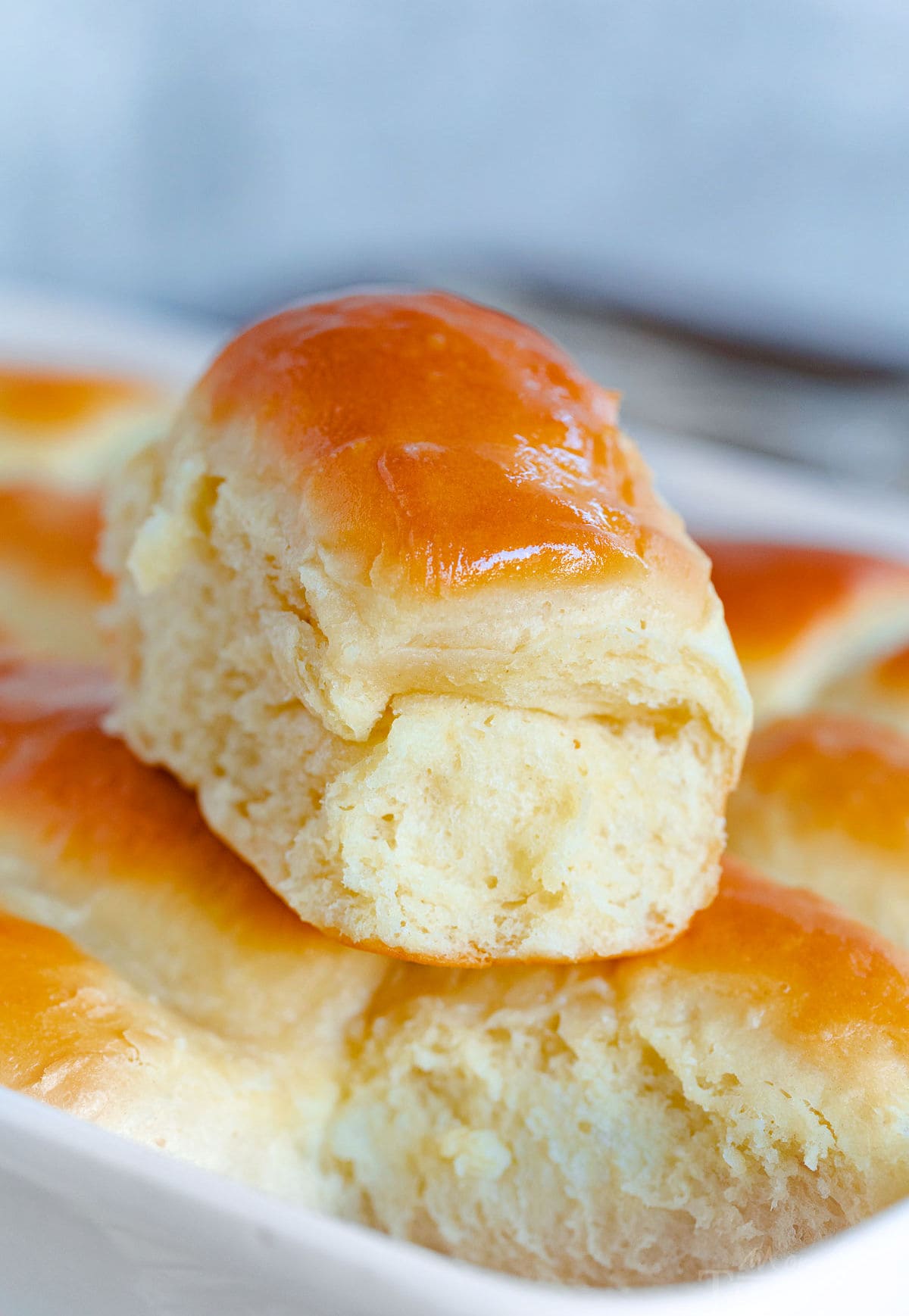 https://www.momontimeout.com/wp-content/uploads/2022/11/parker-house-rolls-recipe.jpeg