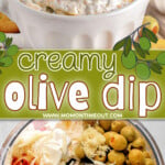 two image collage showing olive dip ingredients in a food processor and the dip in a white bowl ready to be enjoyed. center color block with text overlay.