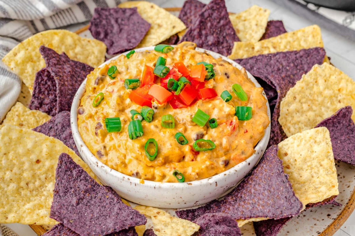 rotel dip in white bowl topped with sliced green onions and diced tomatoes. bowl is sitting on a plate with purple and white tortilla chips.