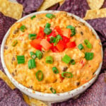 medium white bowl filled with rotel dip and topped with sliced green onions and diced tomatoes surrounded by blue and white corn tortilla chips.