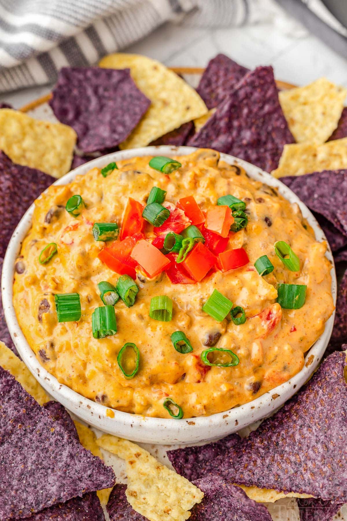 medium white bowl filled with rotel dip and topped with sliced green onions and diced tomatoes surrounded by blue and white corn tortilla chips.