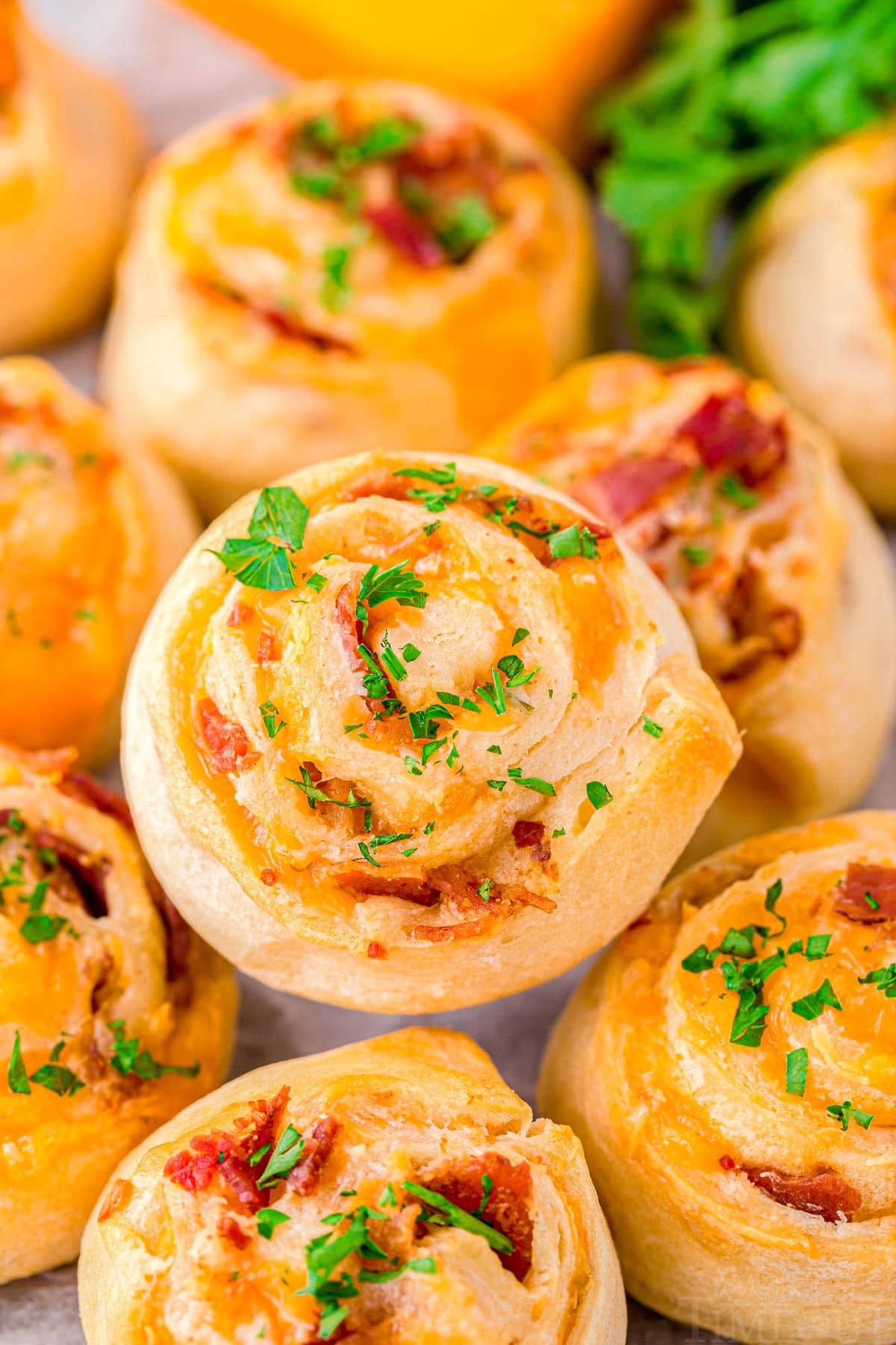 pinwheels recipe made with bacon and cheddar stacked on a plate and topped with freshly chopped parsley.