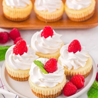 top down angled view of four mini cheesecakes on a plate with whipped cream and raspberries on top. six more mini cheesecake can be seen on a wood board in the background.