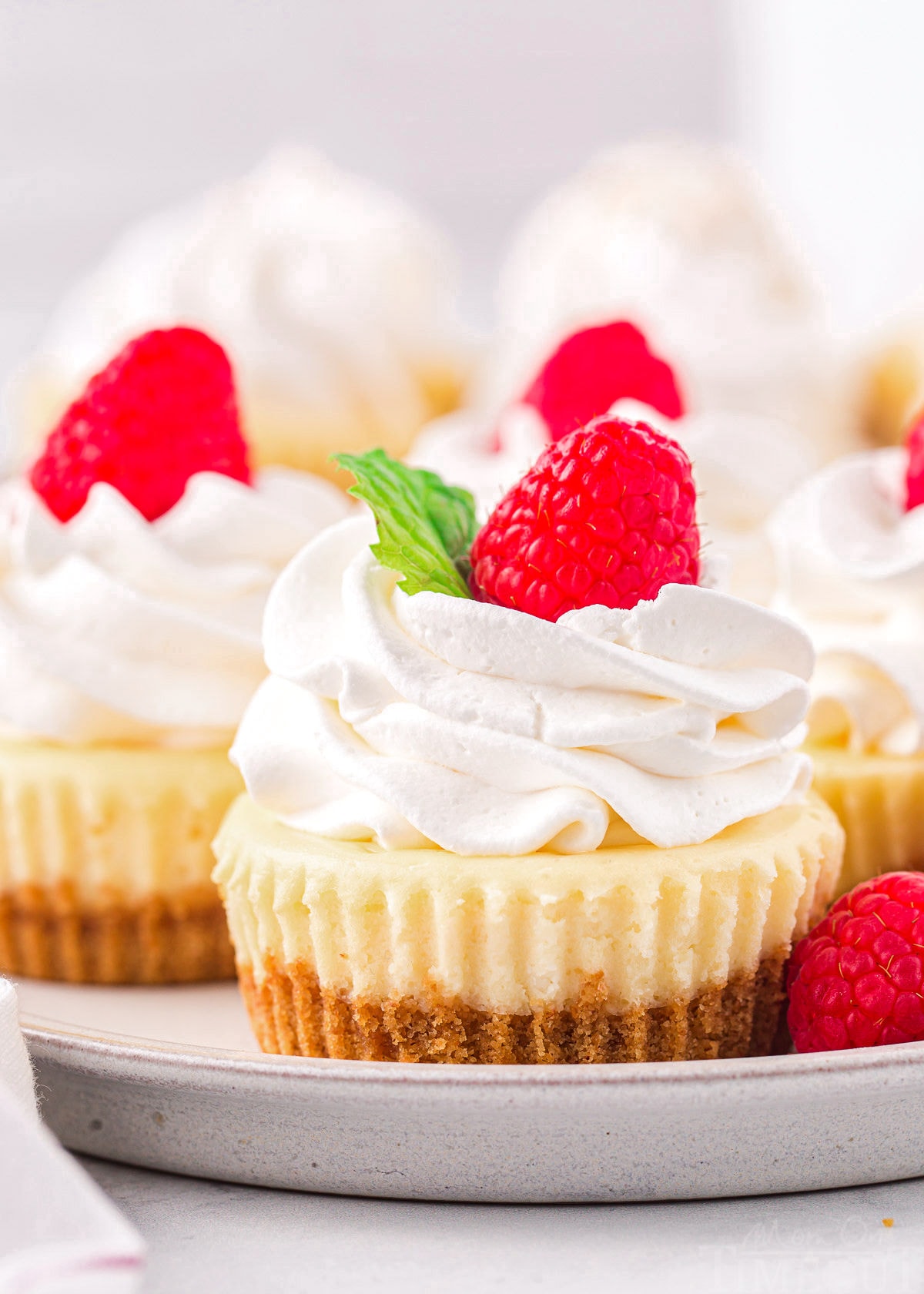 mini cheesecakes sitting on a gray plate topped with whipped cream, raspberries and mint leaves.