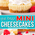 three image collage showing mini cheesecakes topped with whipped cream and raspberries. bottom image shows a bite taken out of one cheesecake. center color block with text overlay.