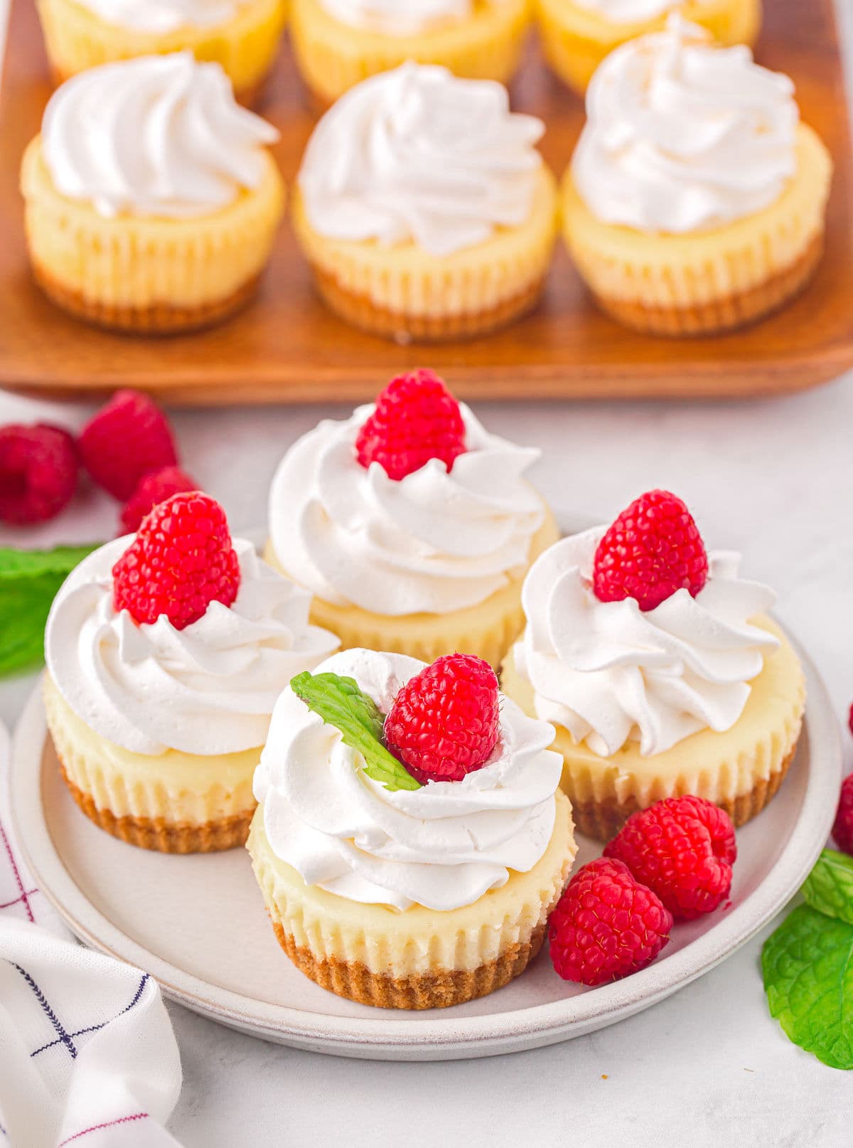 top down angled view of four mini cheesecakes on a plate with whipped cream and raspberries on top. six more mini cheesecake can be seen on a wood board in the background.