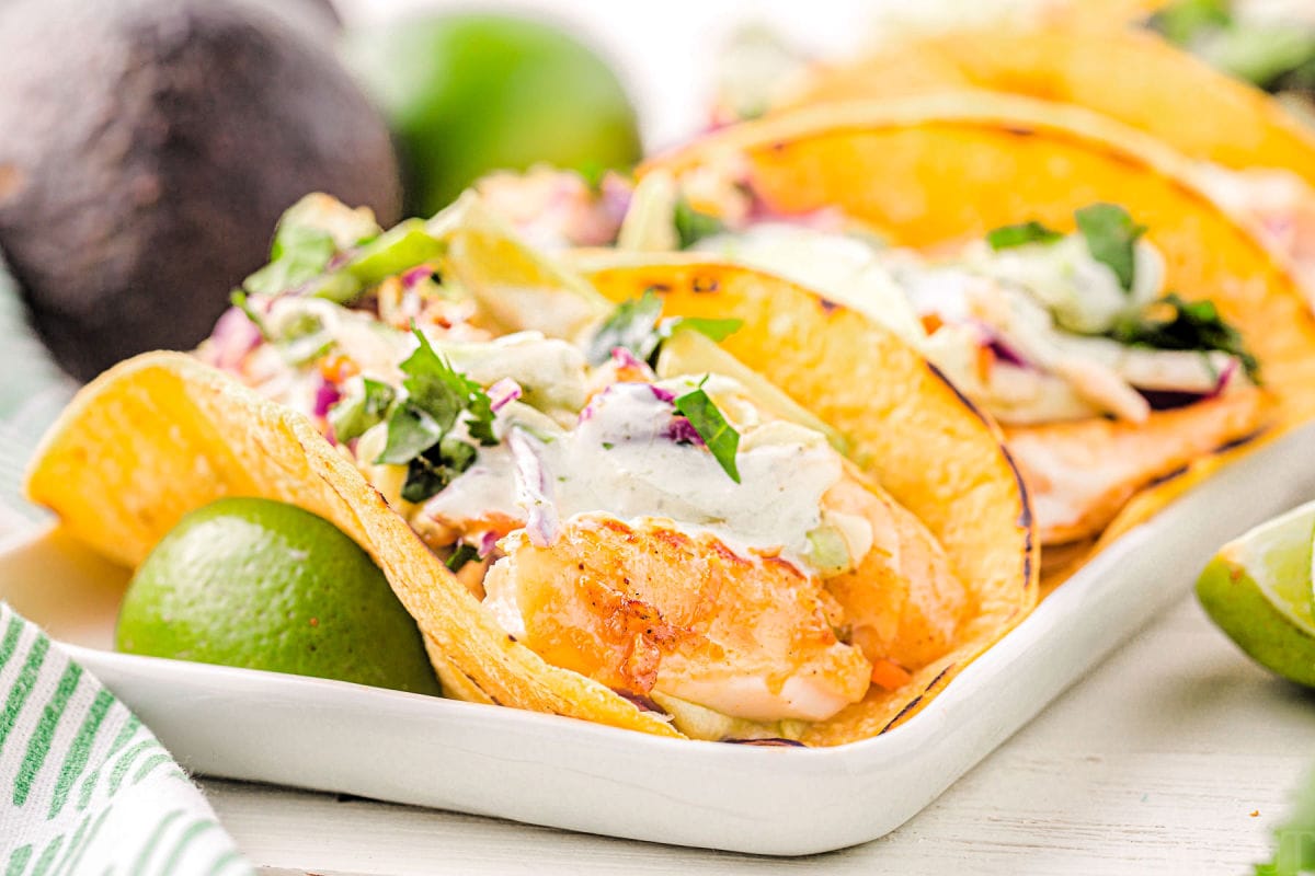 fish taco recipe fully assembled and plated complete with toppings including cabbage, fish taco sauce, avocado and cilantro.