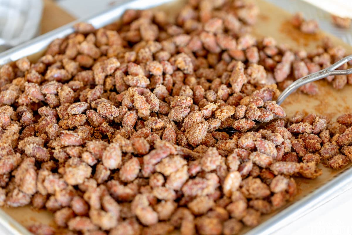 candied almonds prepared on a sheet tray with a spatula getting ready to scoop some off the tray.