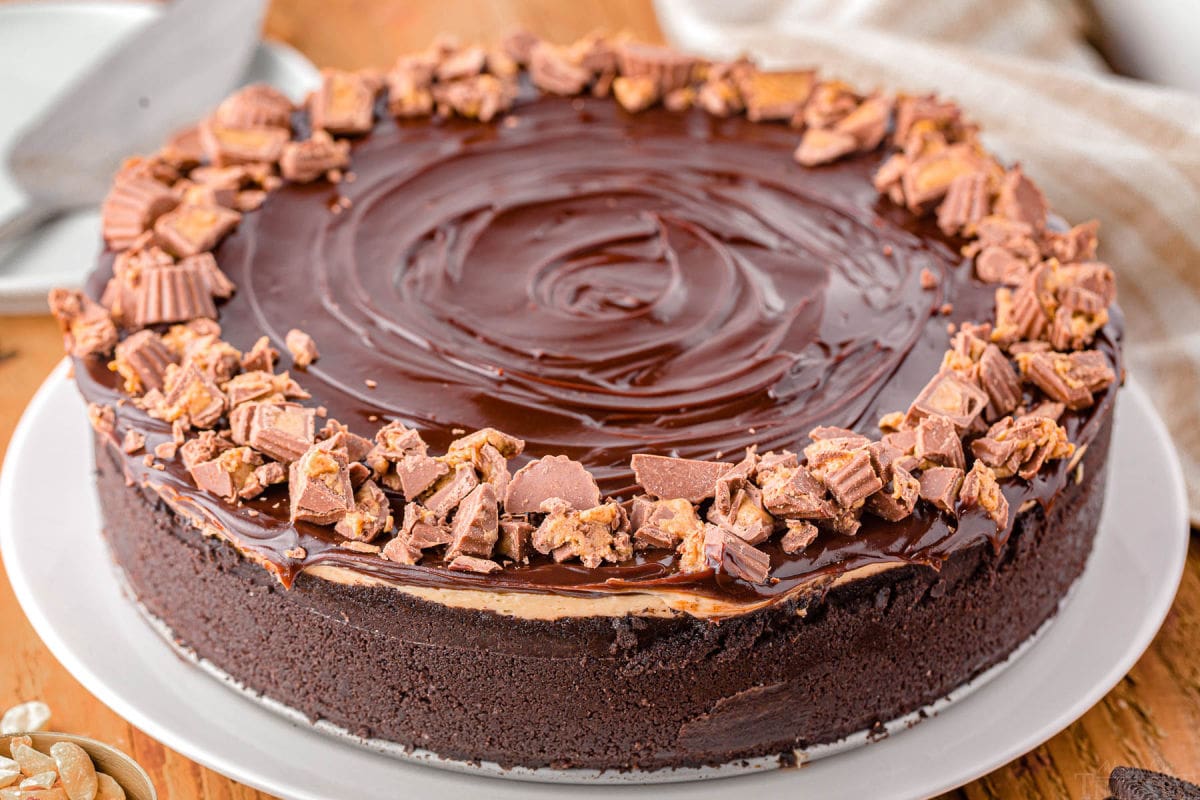 whole peanut butter cheesecake ready to be enjoyed topped with reese's peanut butter cups.