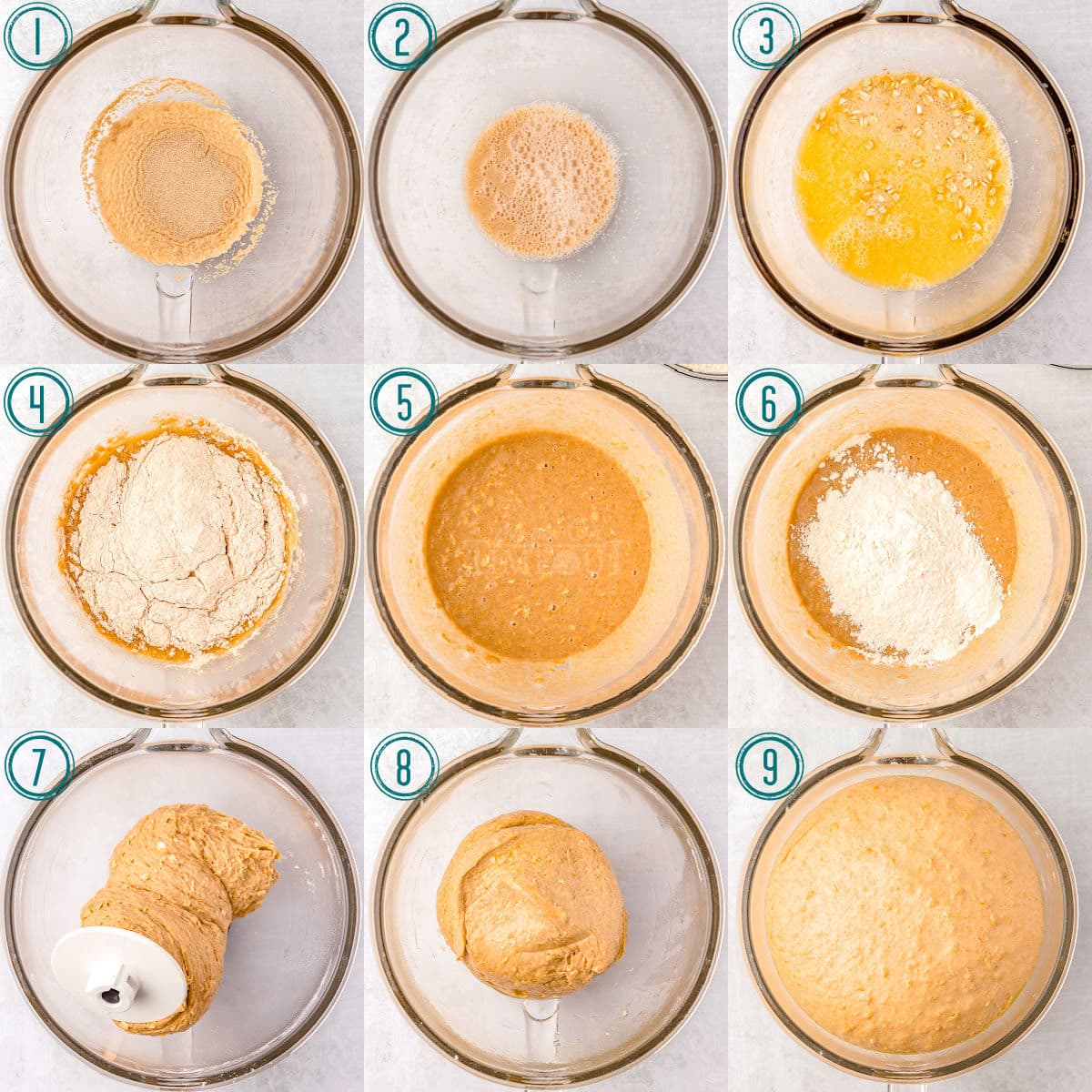 nine image collage showing how to make whole wheat bread dough in a glass bowl.