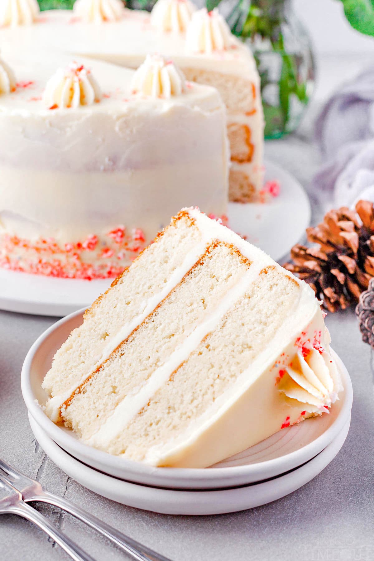 thick slice of peppermint cake on a white plate. the rest o the cake can be seen in the background.