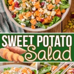 three image collage with images of a roasted sweet potato salad in a large serving bowl topped with roasted sweet potatoes, dried cranberries, and pumpkin seeds. center color block with text overlay.