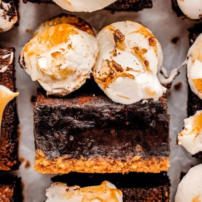 Top down shot of brownies on a pan with the center brownie turned on it's side so you can see the fudgy brownie and toasted marshmallows.