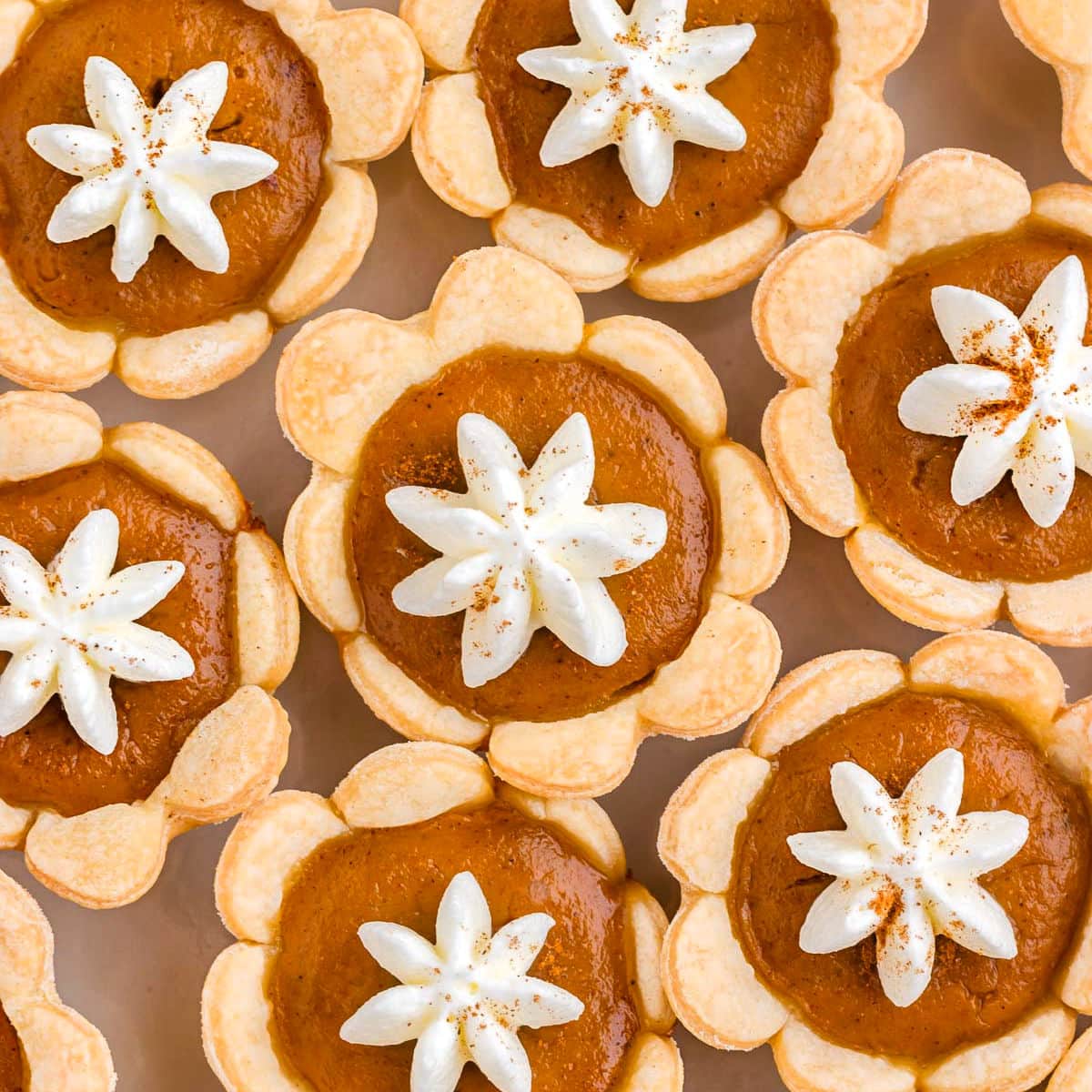 Mini Pumpkin Pies, image size:1200x1200