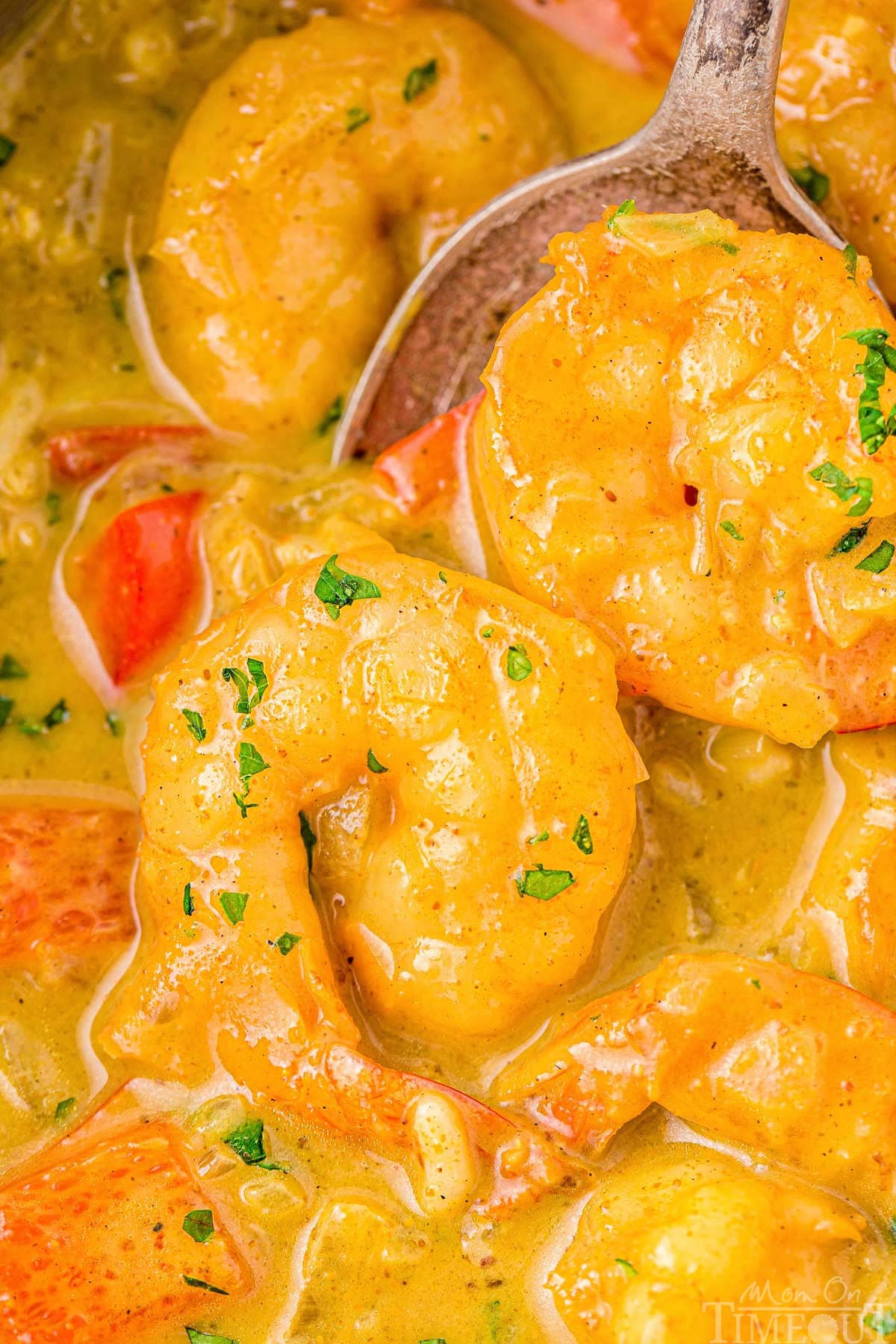 Pieces of shrimp in a rich, creamy coconut curry sauce.