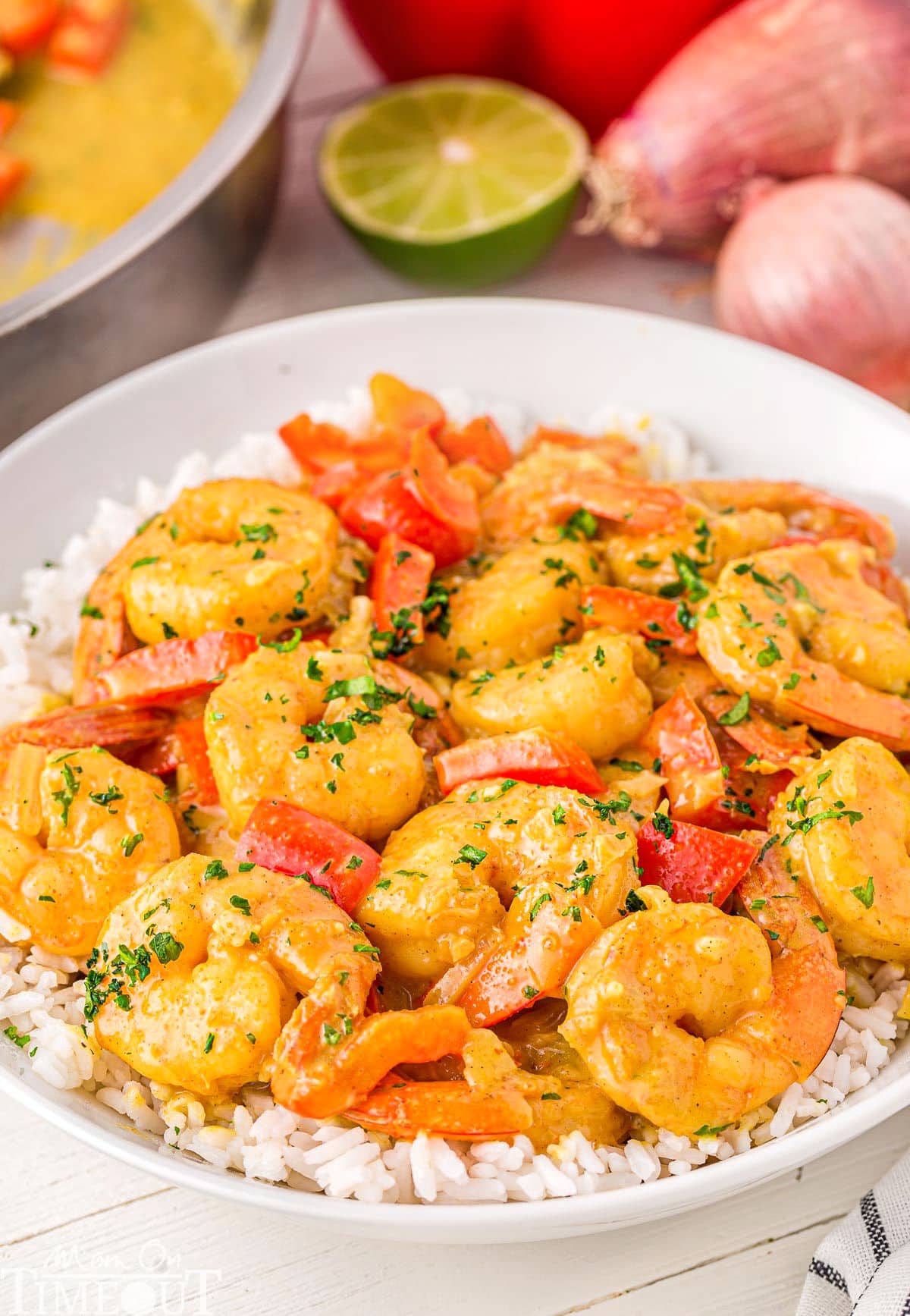 Shrimp Curry on a bed of white rice served on a white plate. Curry ingredients are in the background.