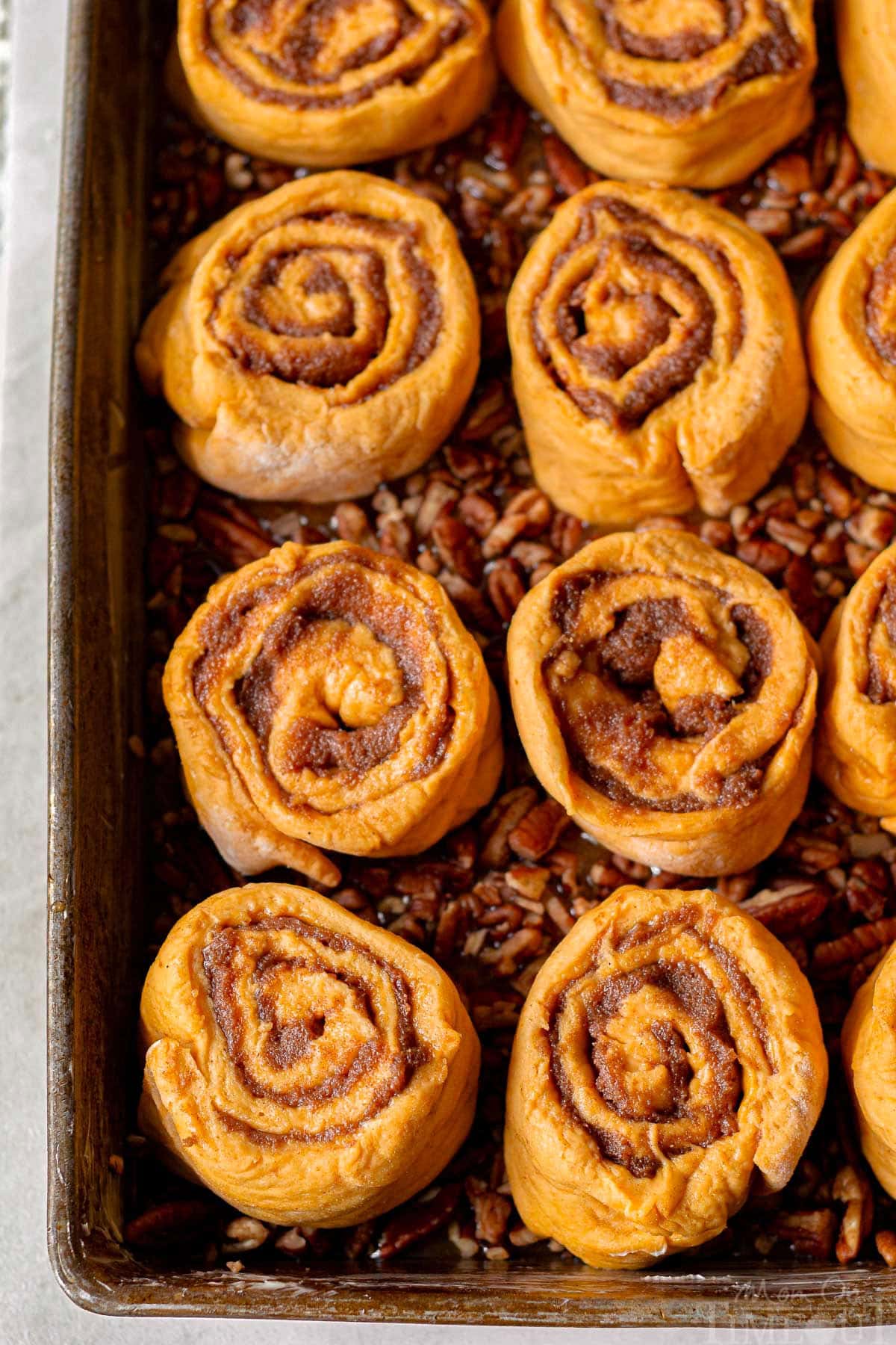 Overhead shot of sticky buns in baking pan ready to be baked.