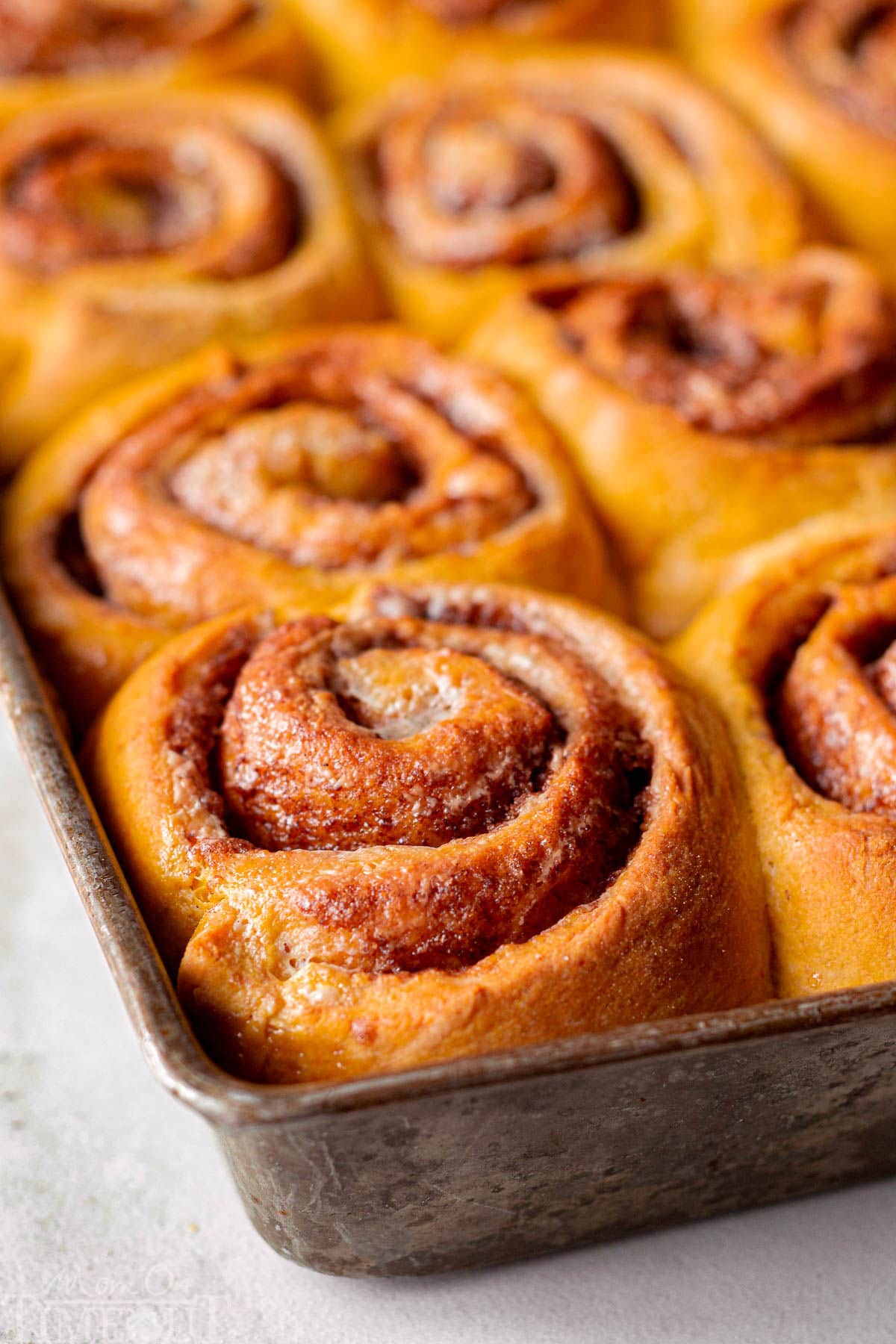Pumpkin sticky buns in baking sheet baked and ready to be flipped and eaten.