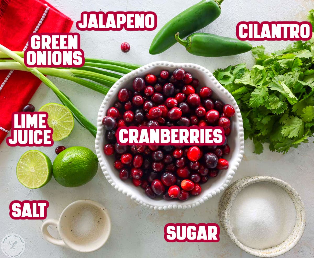 Overhead shot of labeled cranberry salsa ingredients laid out and ready to use in the recipe.