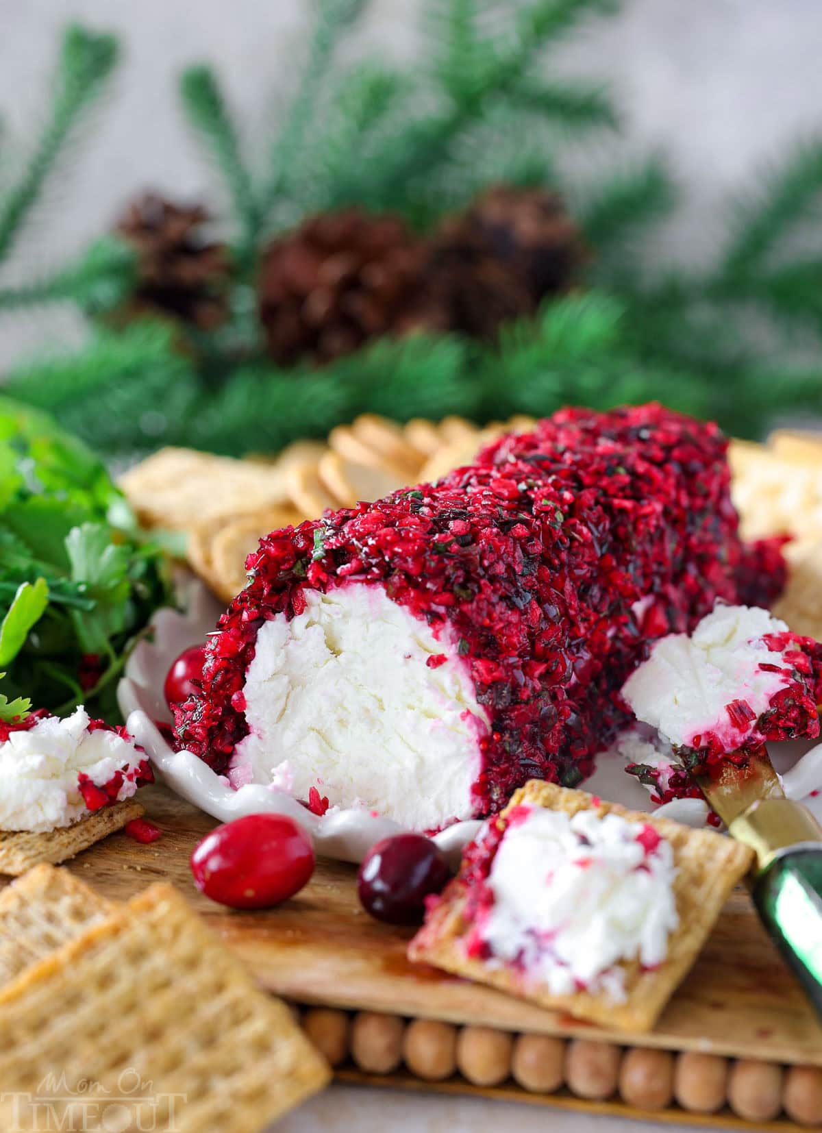 Shot of cranberry salsa coated goat cheese log on board with crackers. A green cheese knife is set beside the cheese log.