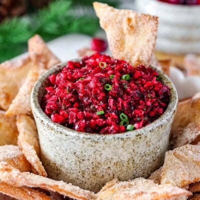 Large hand made pottery bowl with fresh cranberry salsa in it. The bowl is surround with cinnamon sugar chips.