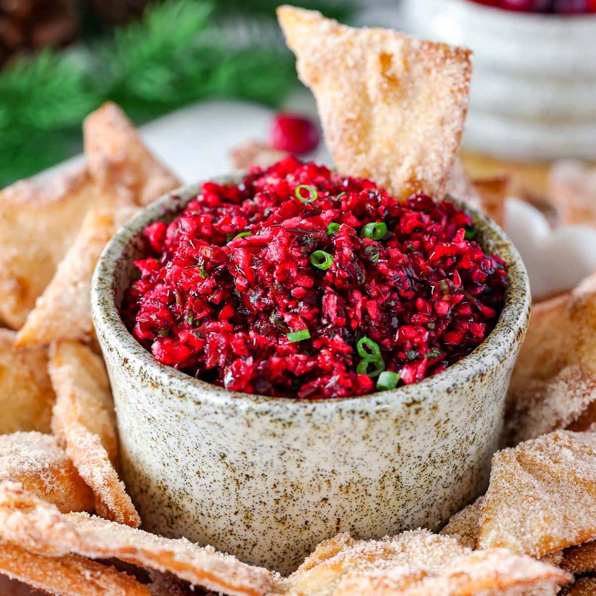 Cranberry Salsa