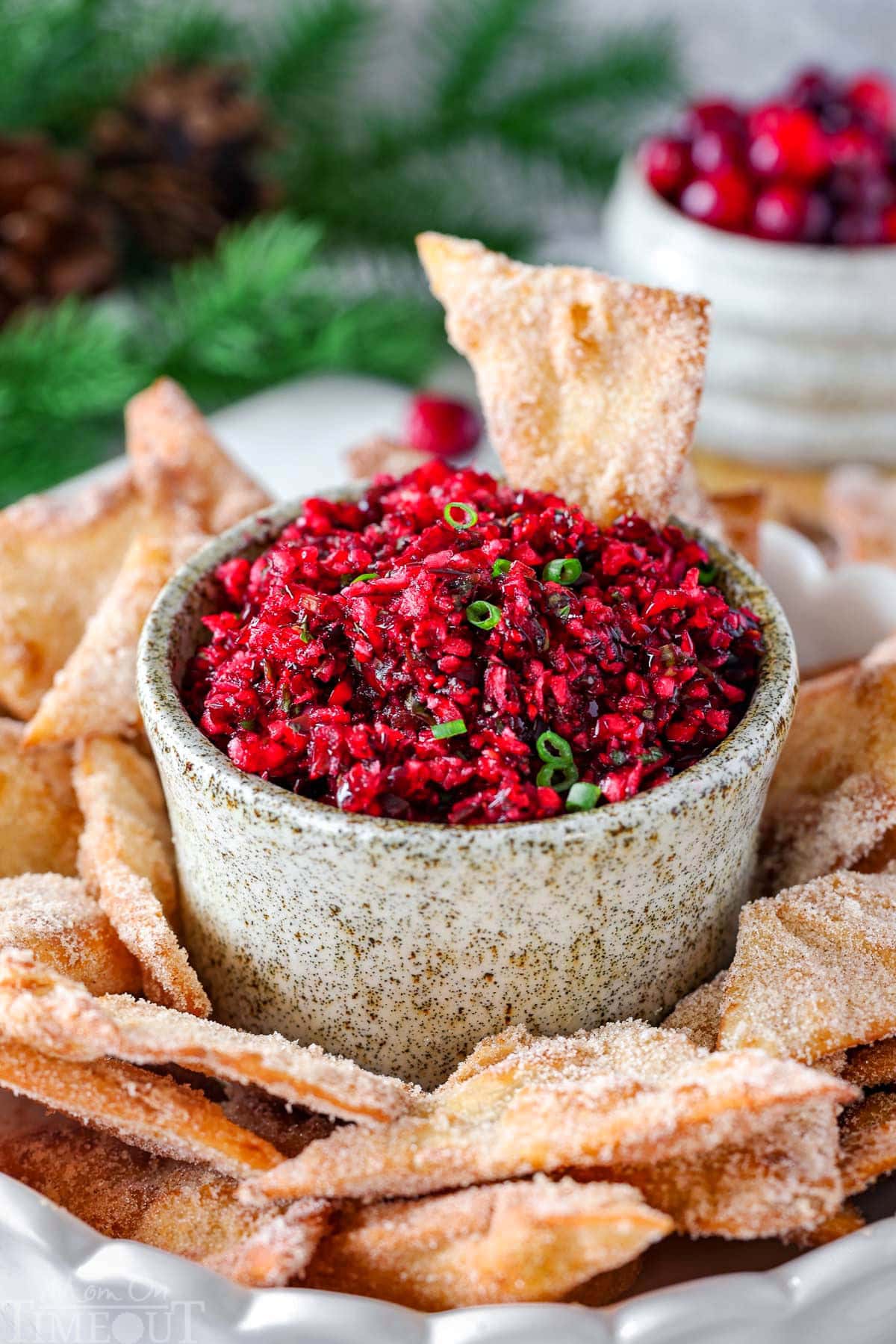 Large hand made pottery bowl with fresh cranberry salsa in it. The bowl is surround with cinnamon sugar chips.