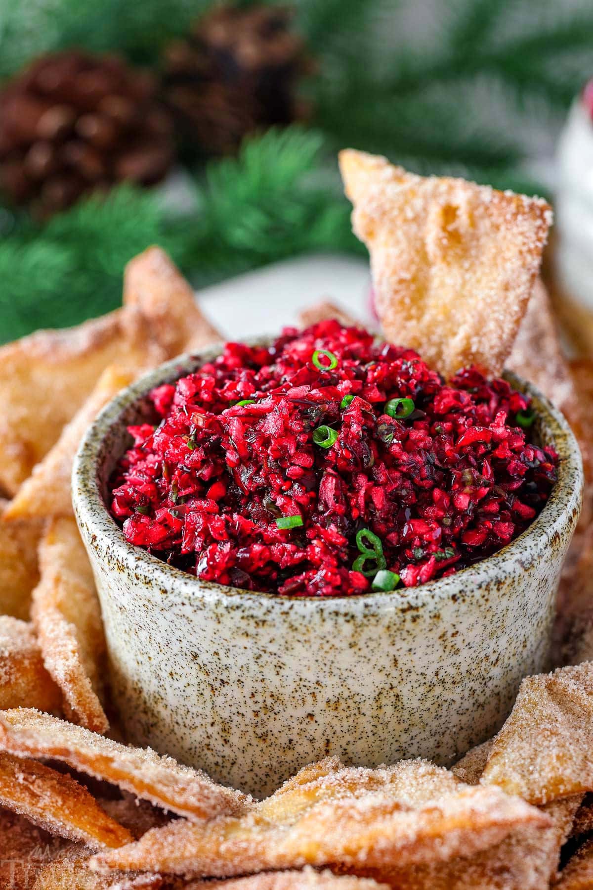 Large hand made pottery bowl with fresh cranberry salsa in it. The bowl is surround with cinnamon sugar chips.