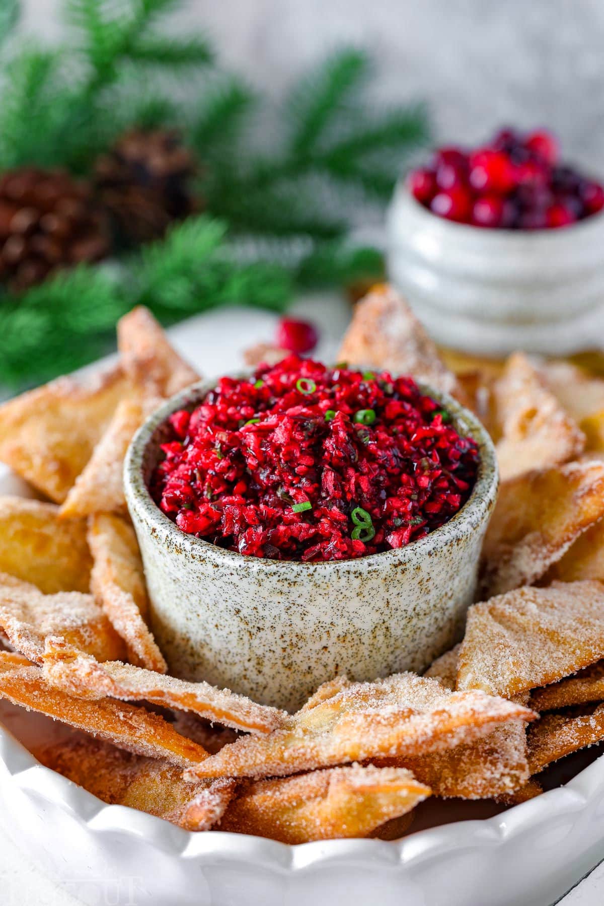 Bowl of cranberry salsa surrounded by chips. Fresh cranberries and greenery can be seen in the background.