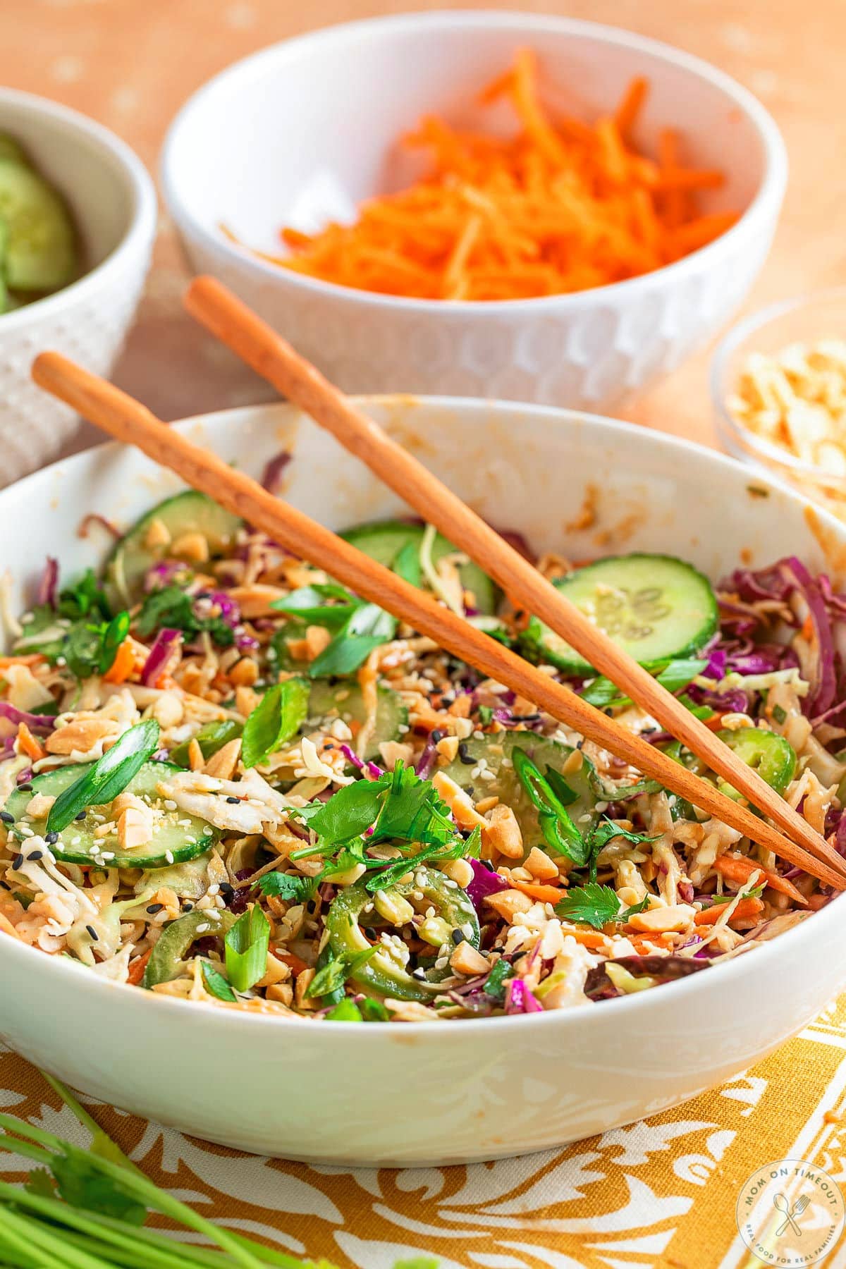 Shot of low white bowl with Thai salad recipe with peanut dressing missed together.